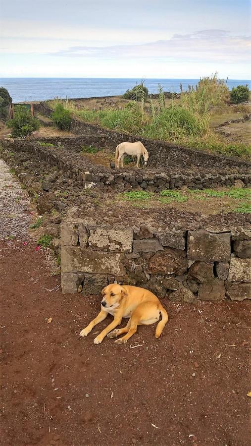 Quinta Da Falesia - Casa Branca Ponta Delgada Exteriör bild