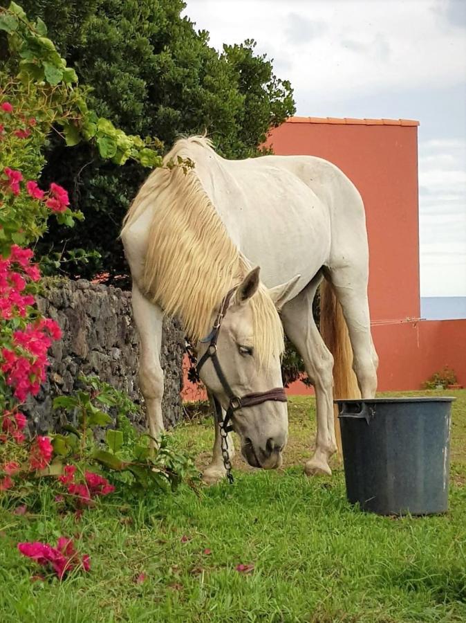 Quinta Da Falesia - Casa Branca Ponta Delgada Exteriör bild